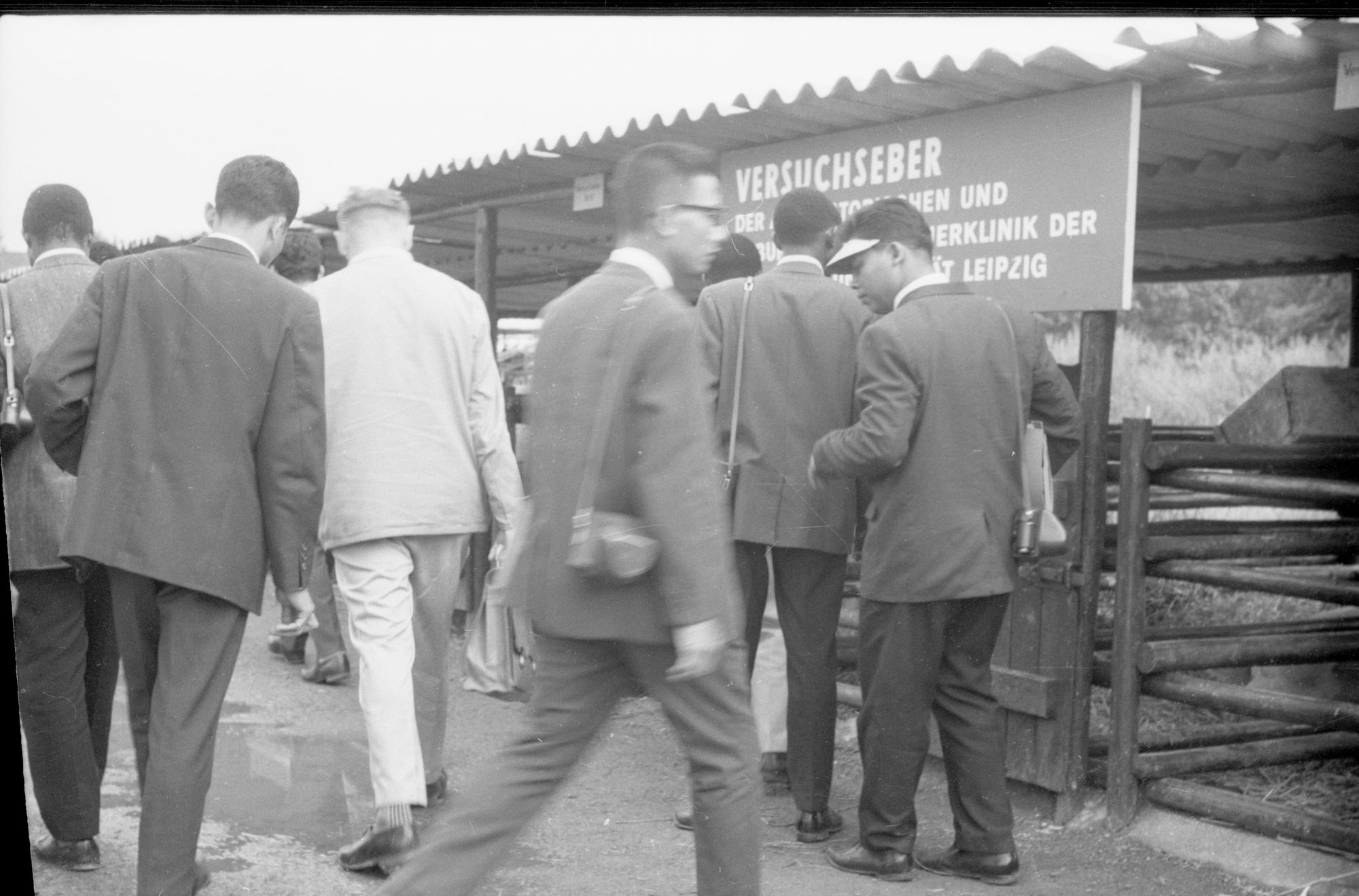 ZFF_1895_N004