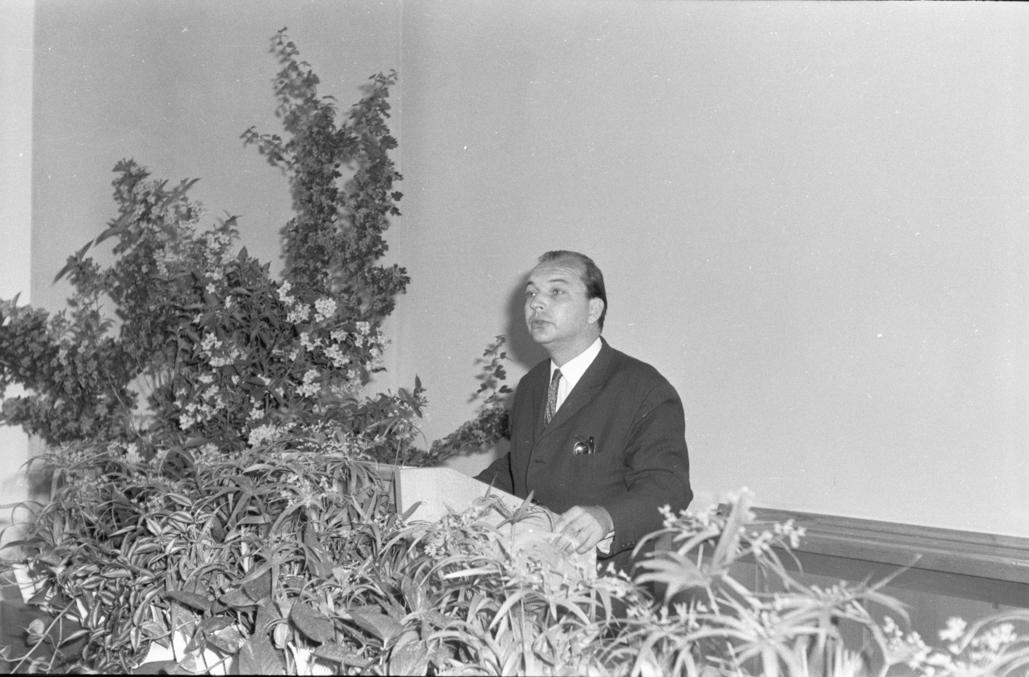 ZFF_1896_N011
