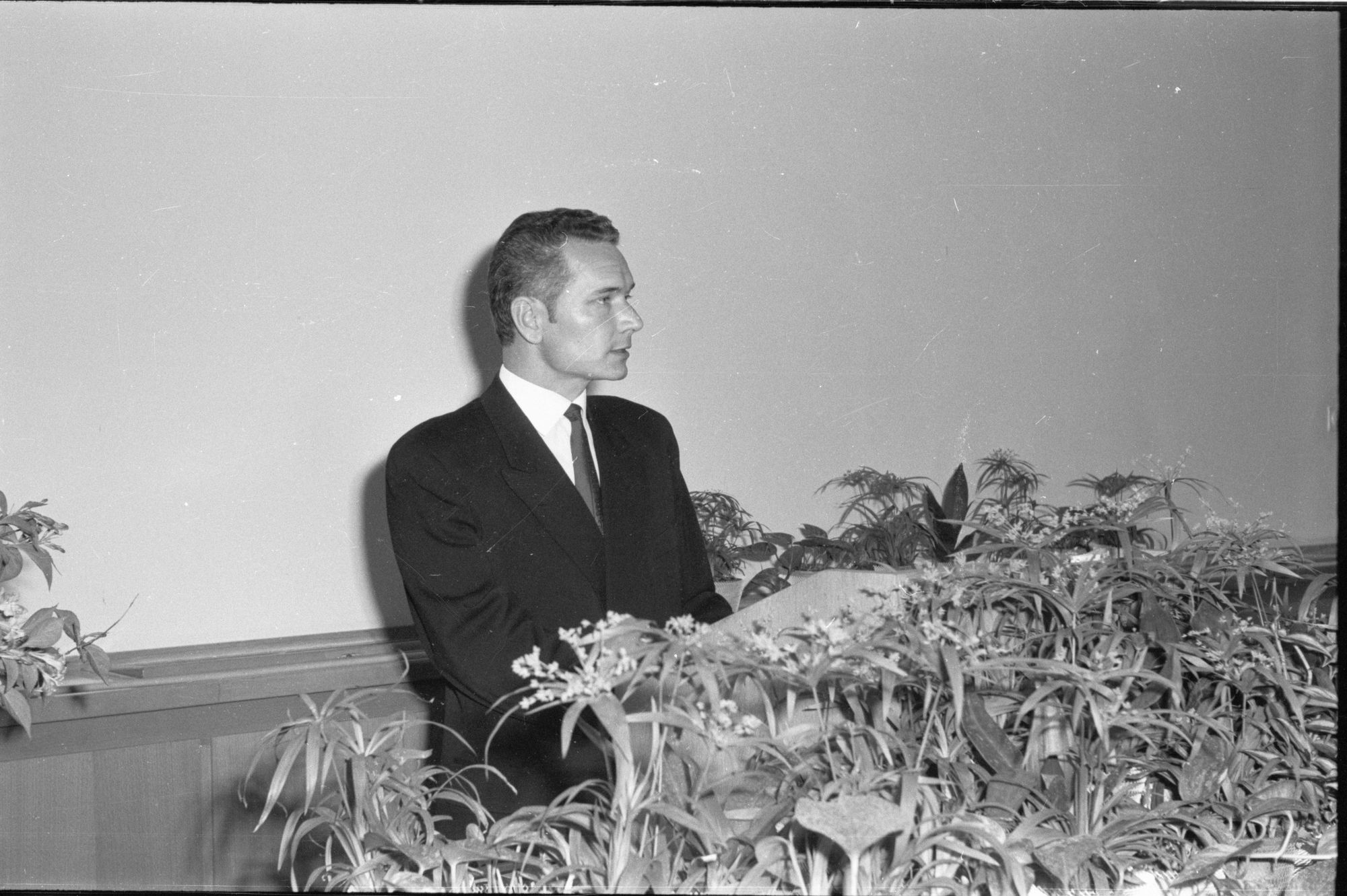 ZFF_1896_N015