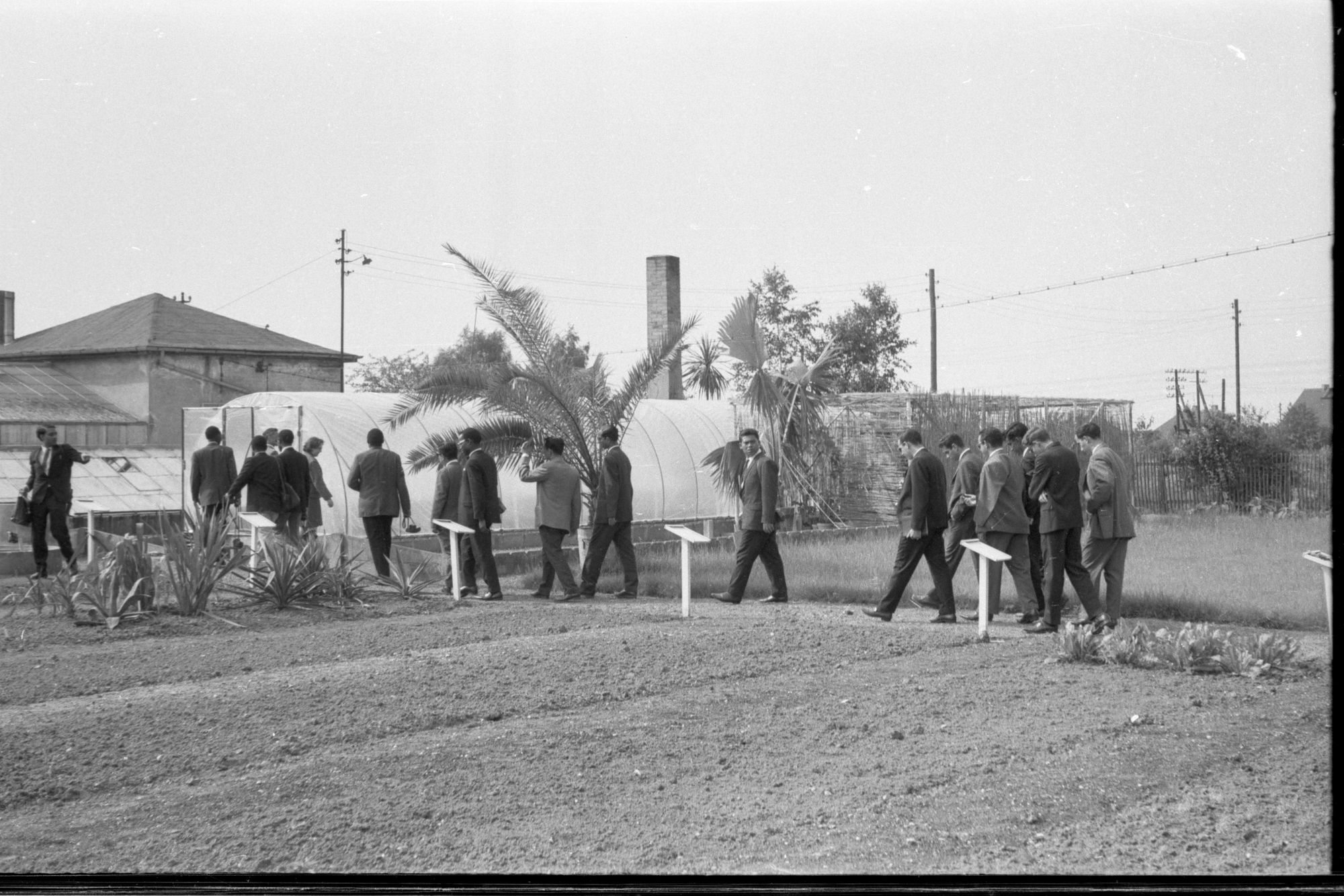 ZFF_1900_N009
