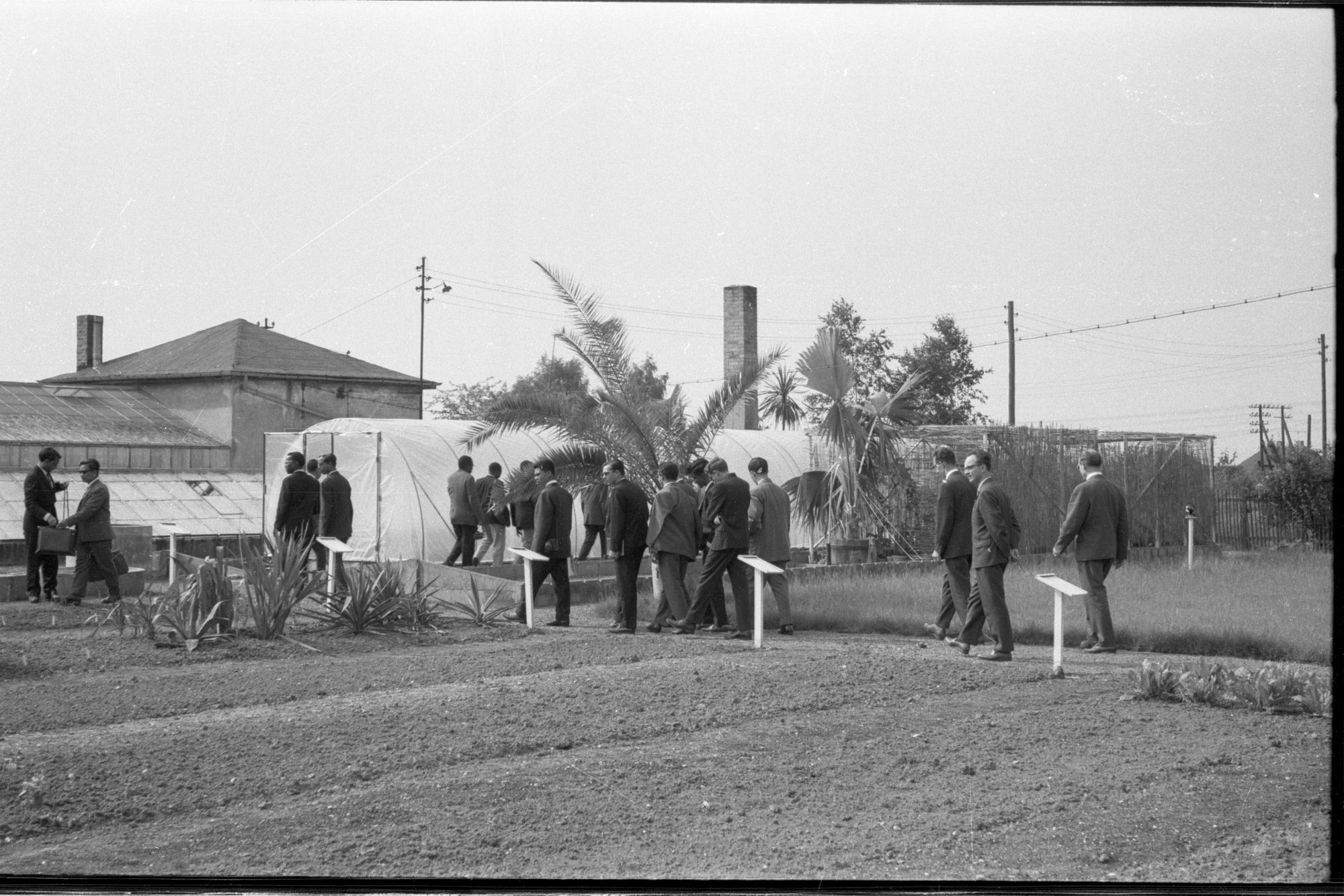 ZFF_1900_N010
