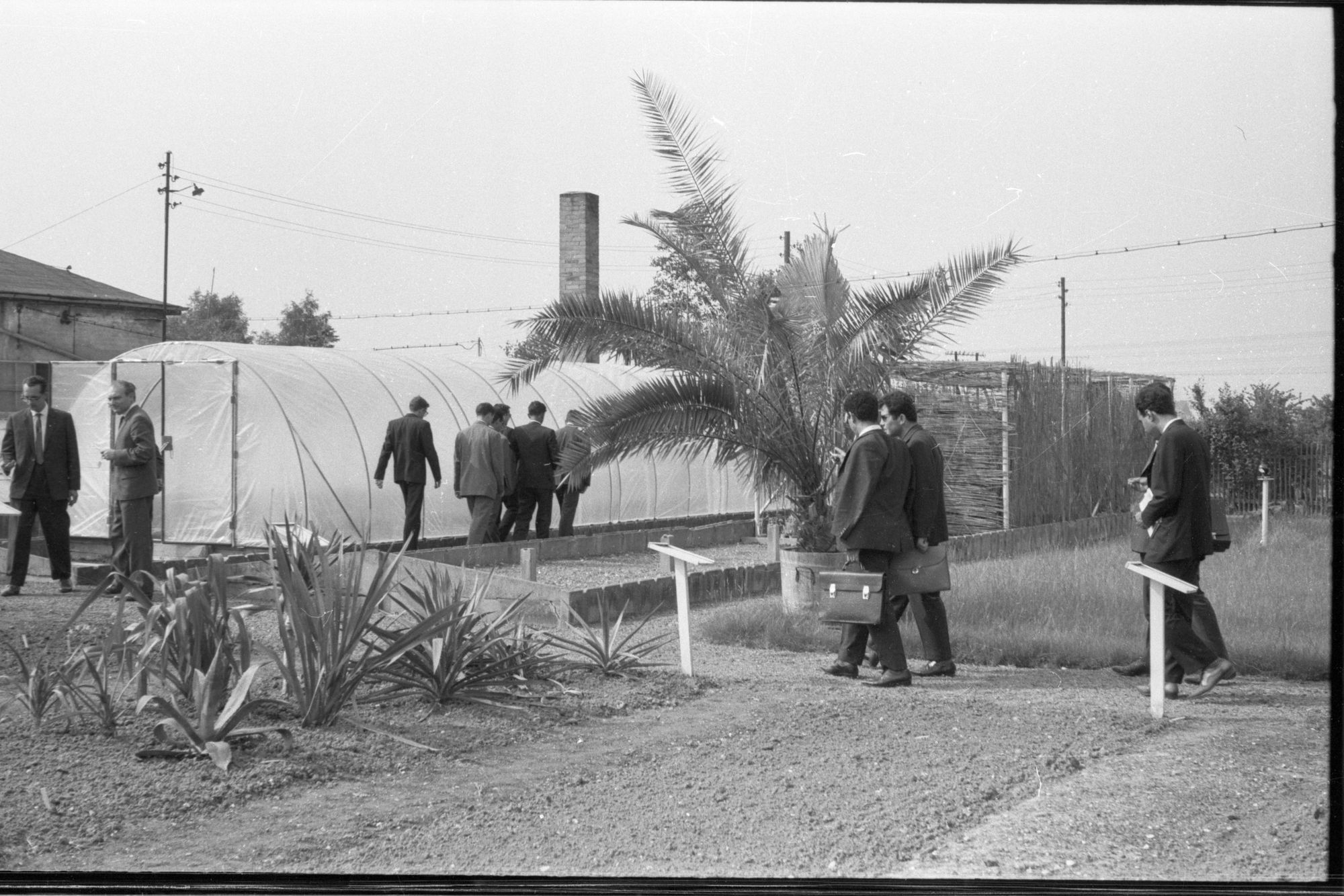 ZFF_1900_N011