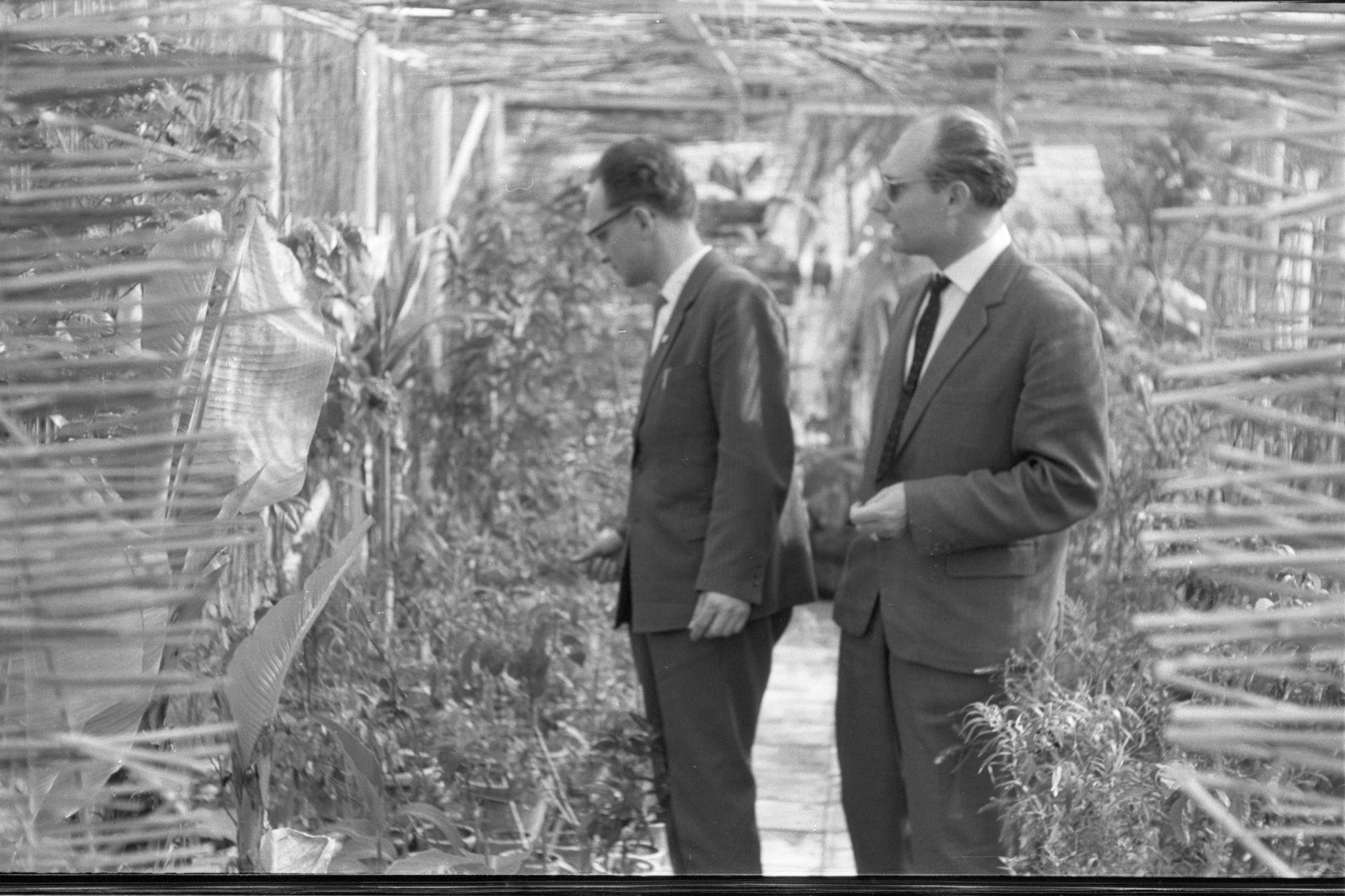 ZFF_1900_N017