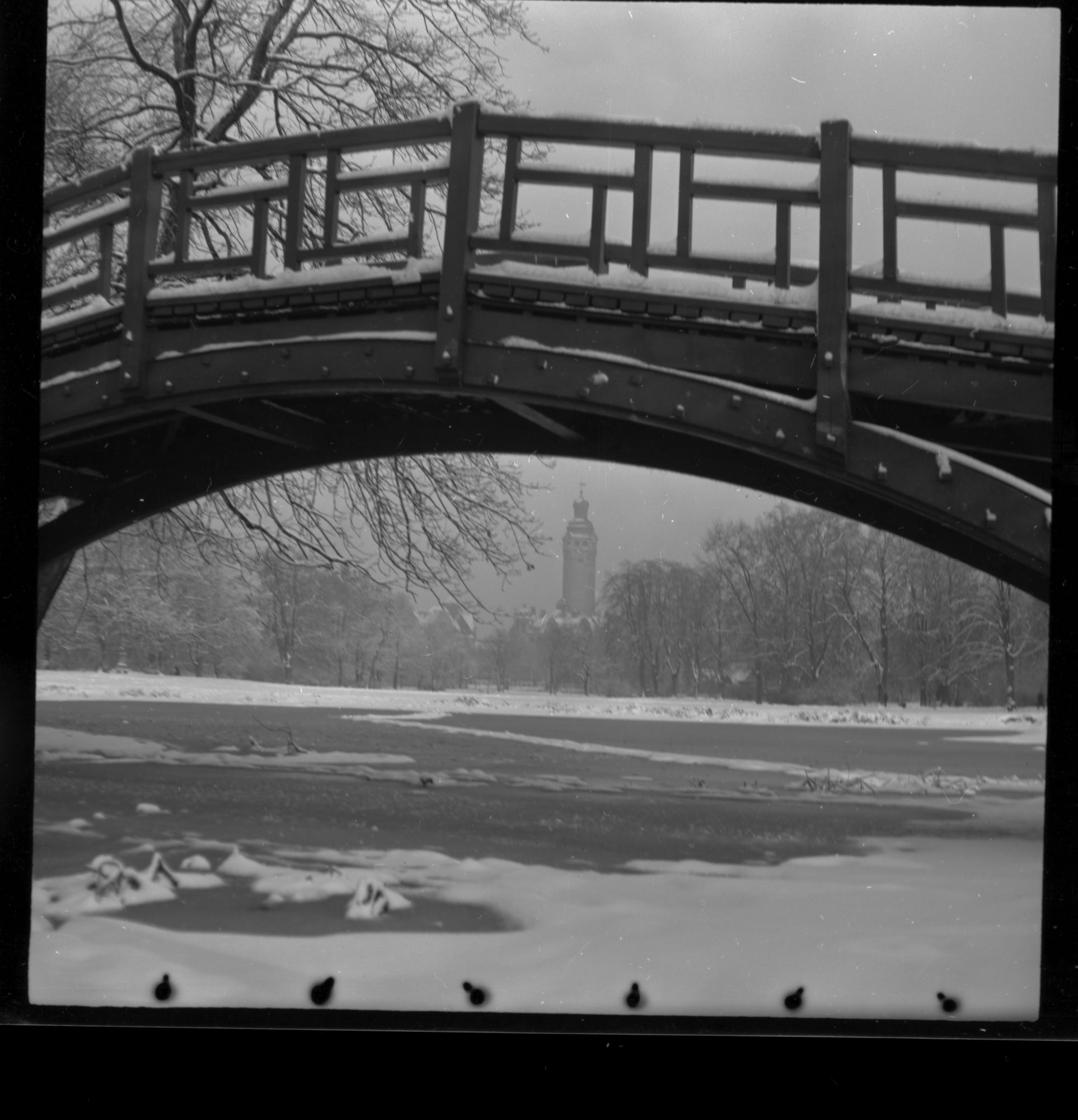 ZFF_1949_N005