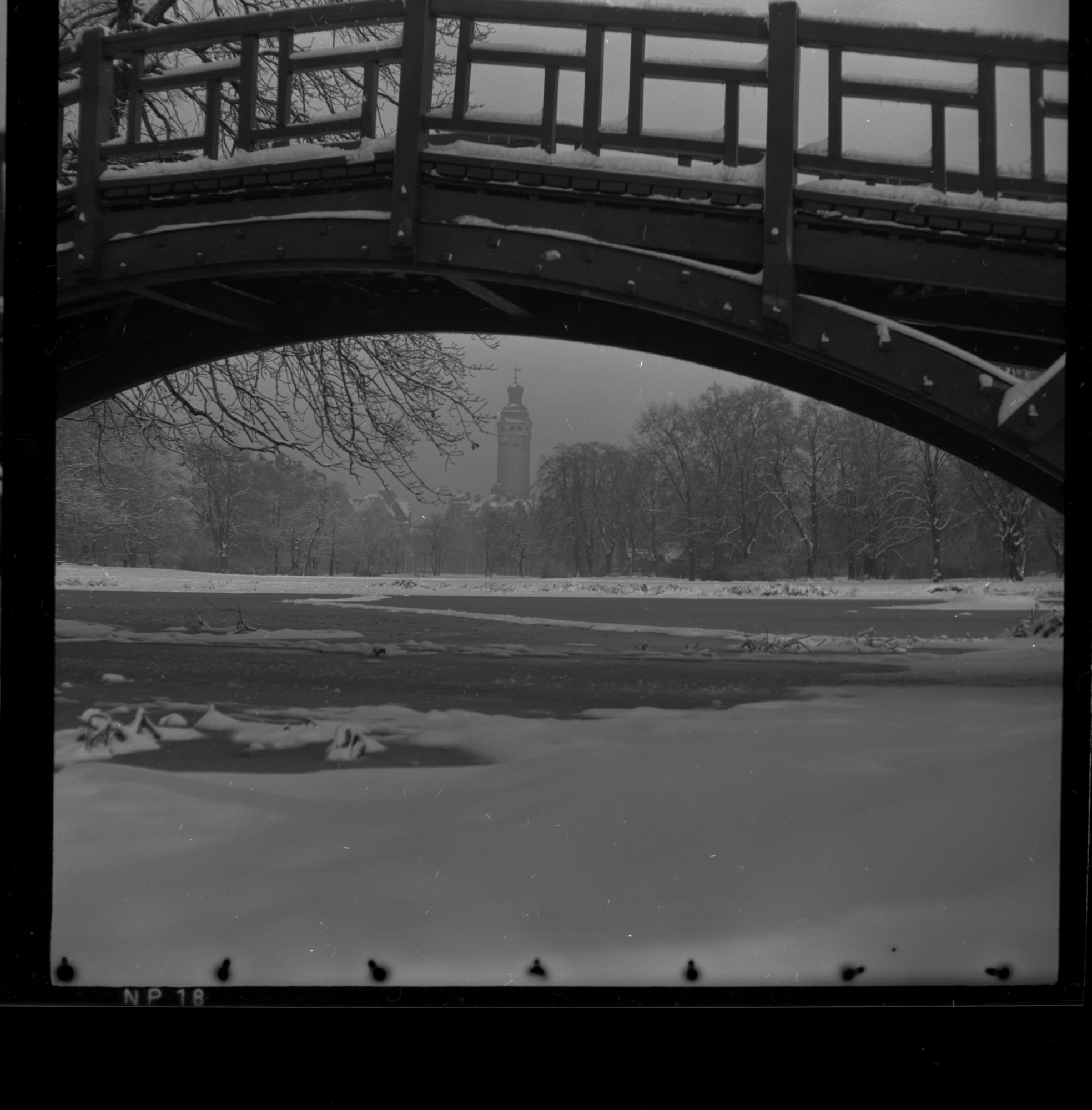 ZFF_1949_N006