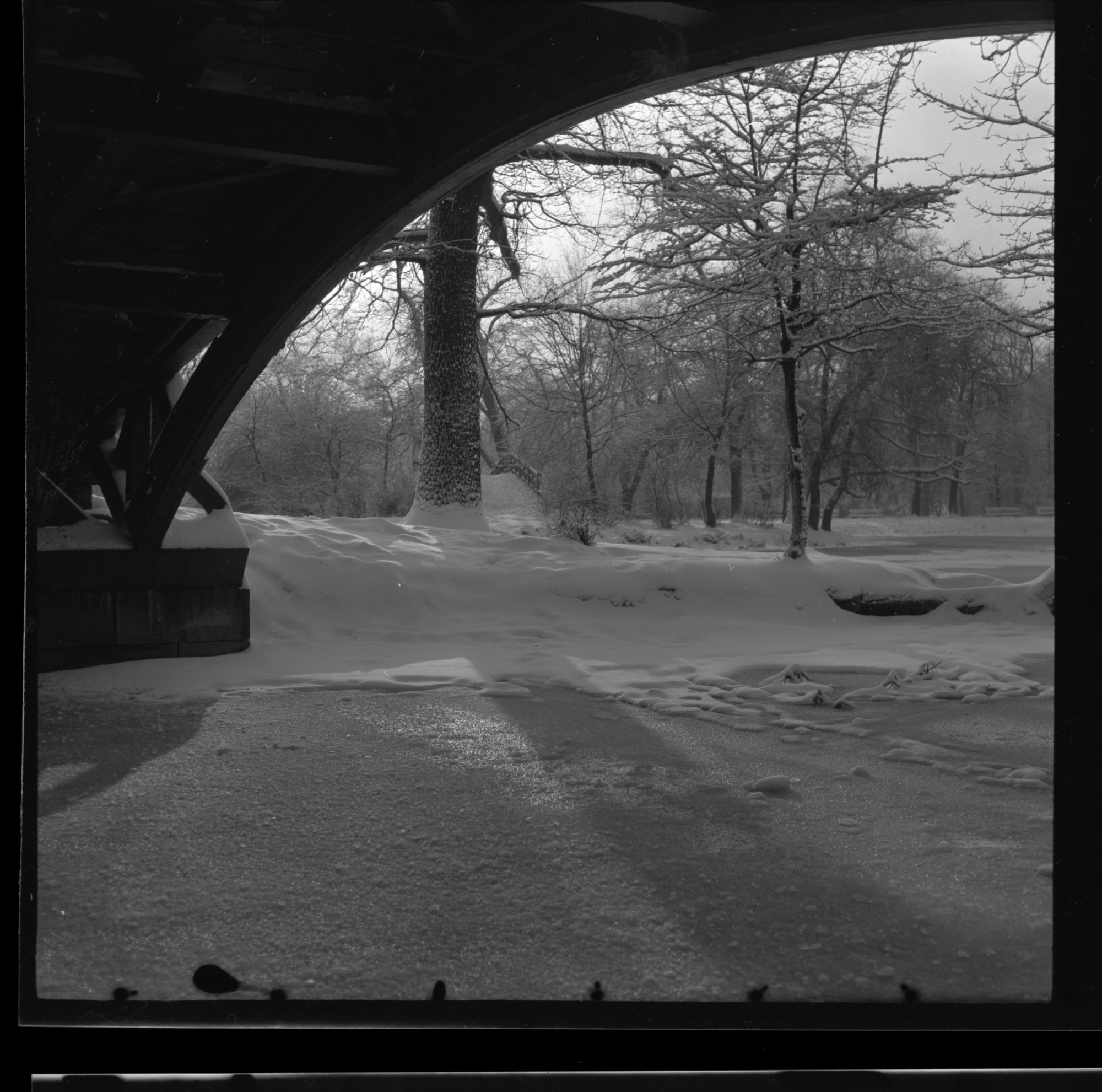 ZFF_1949_N007