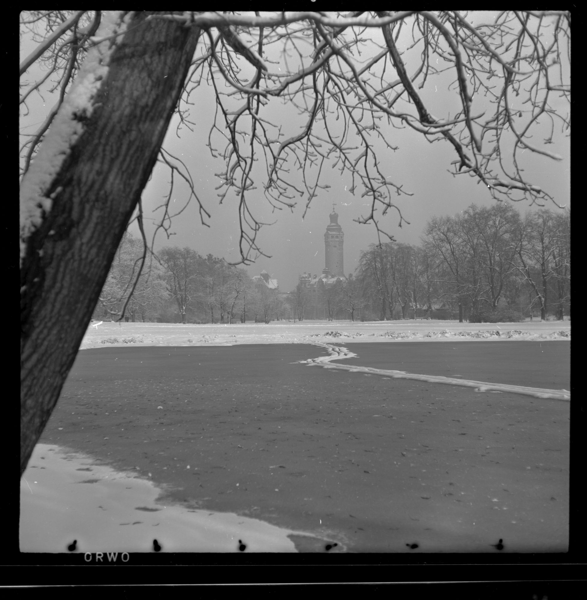 ZFF_1949_N008