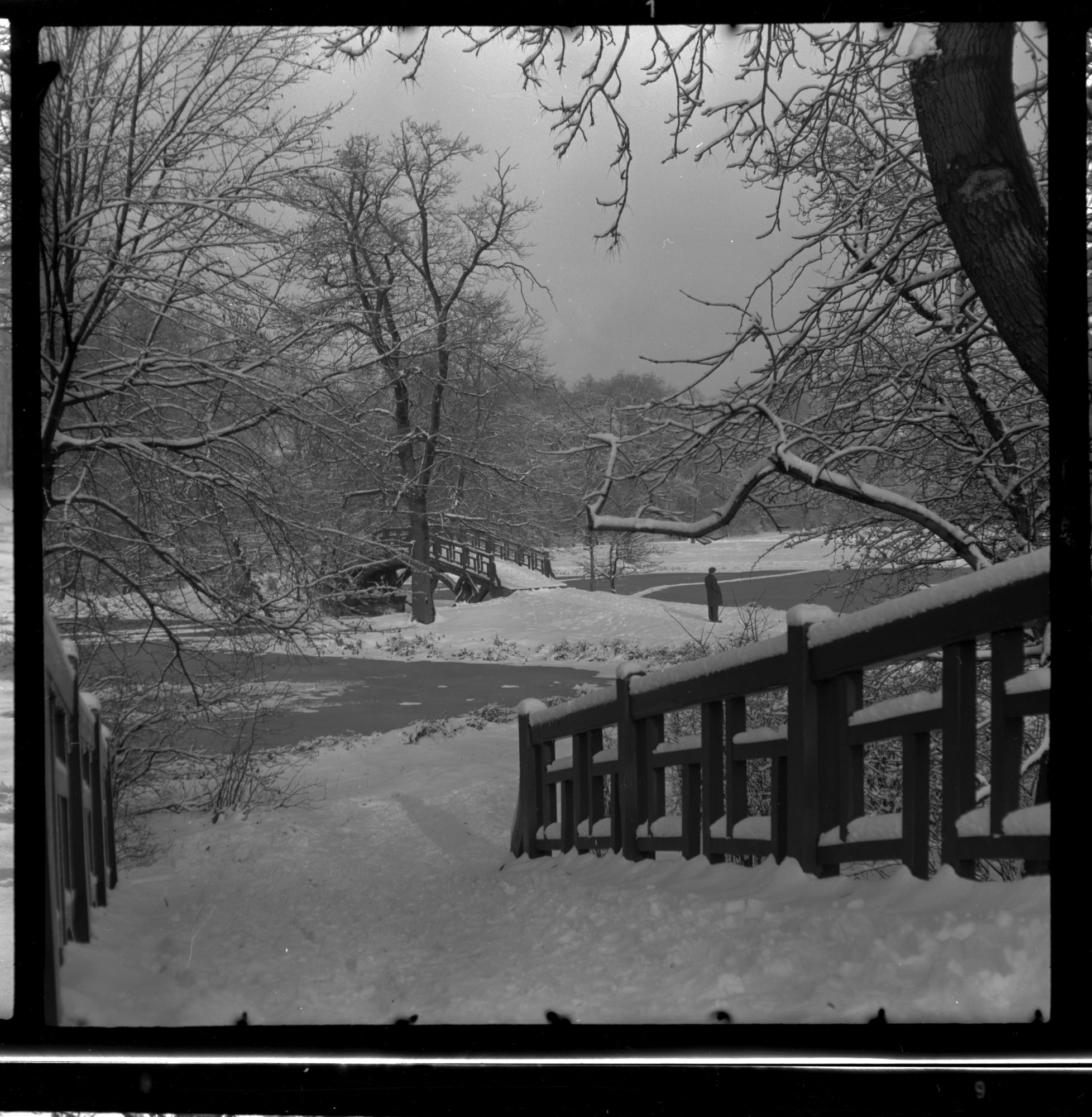 ZFF_1949_N010
