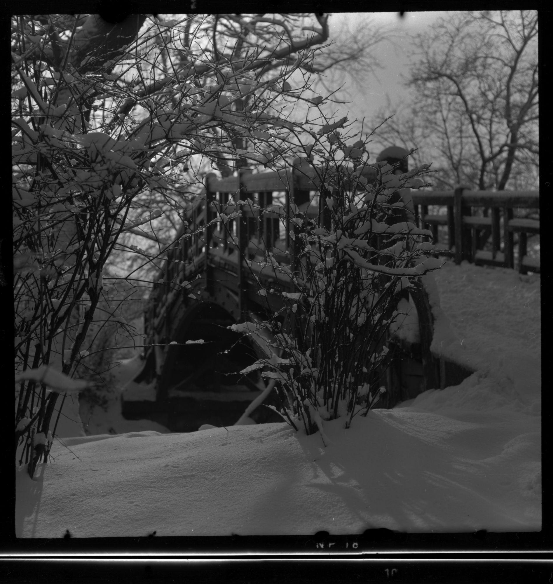 ZFF_1949_N011