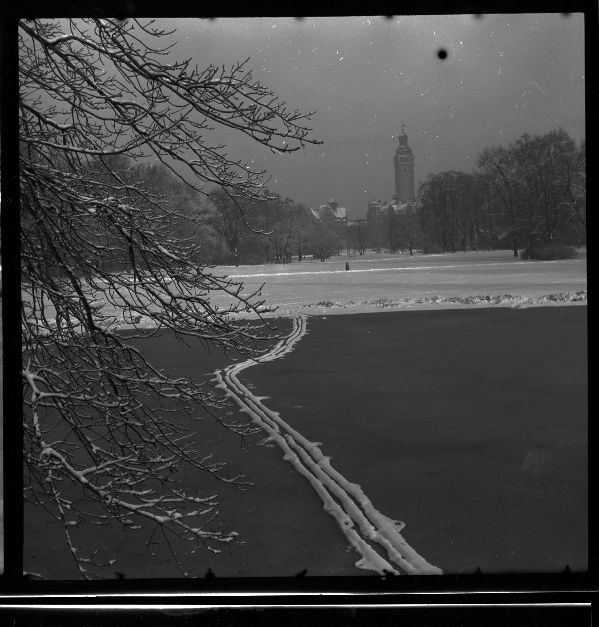 ZFF_1949_N012