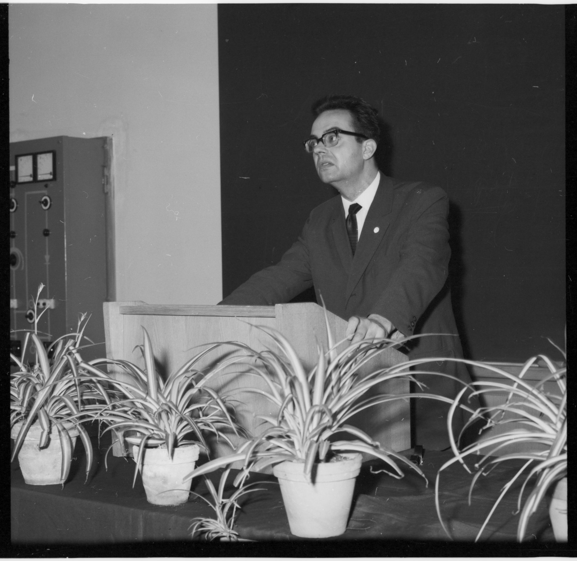 ZFF_1974_N006