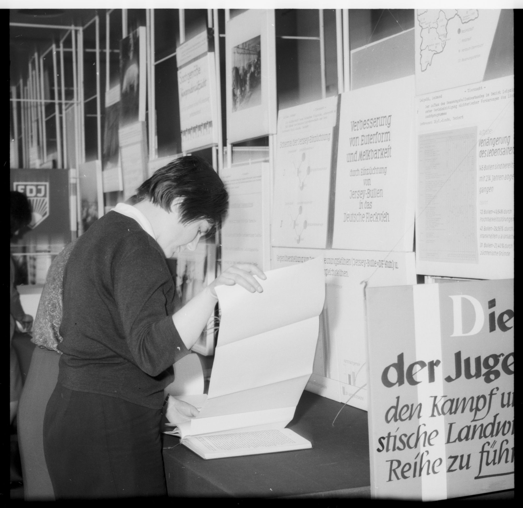 ZFF_1974_N010