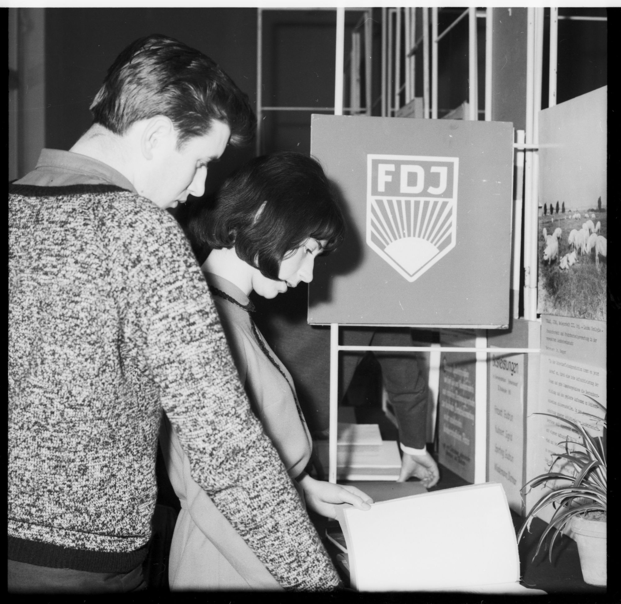 ZFF_1974_N011