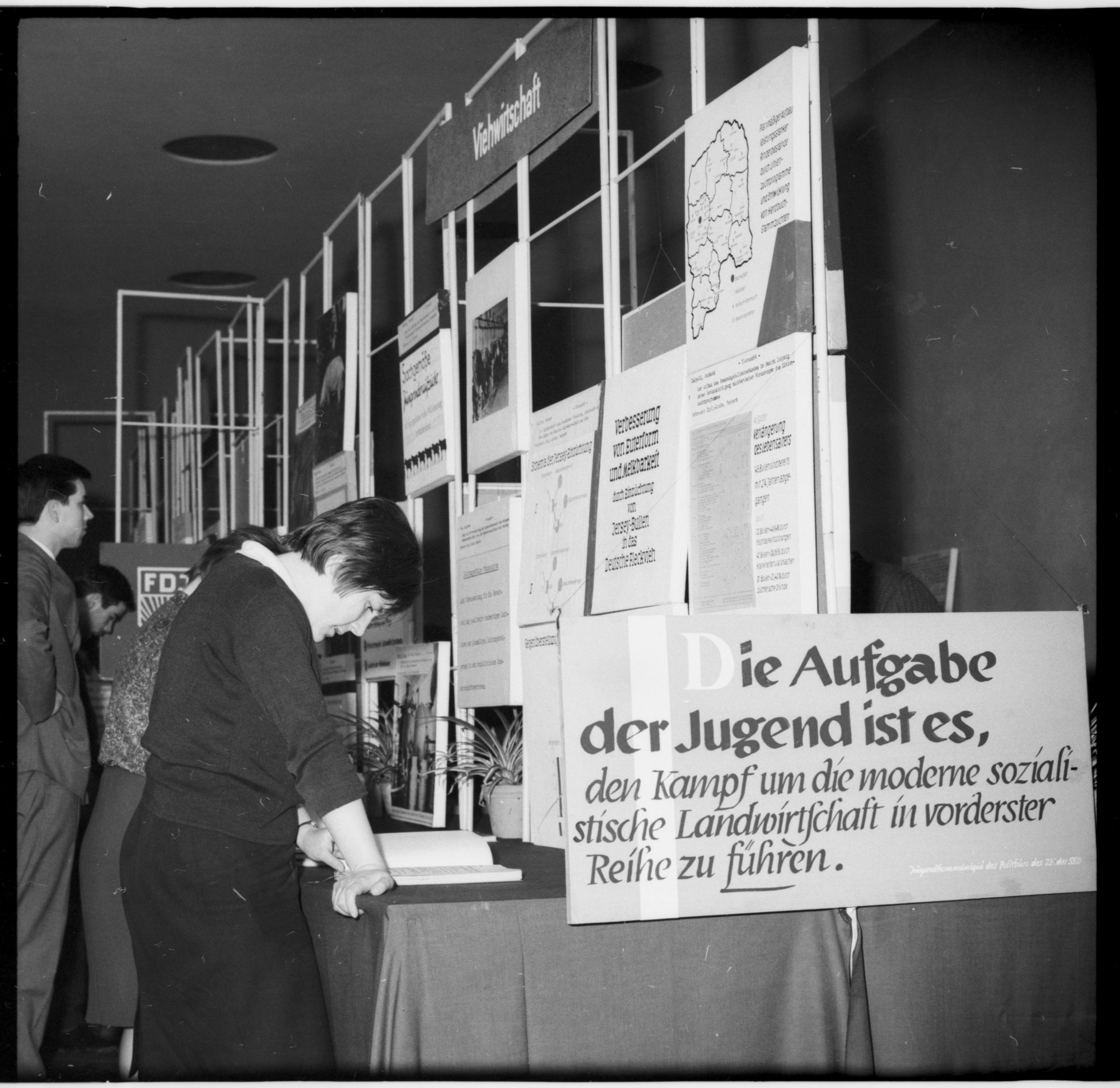ZFF_1975_N001