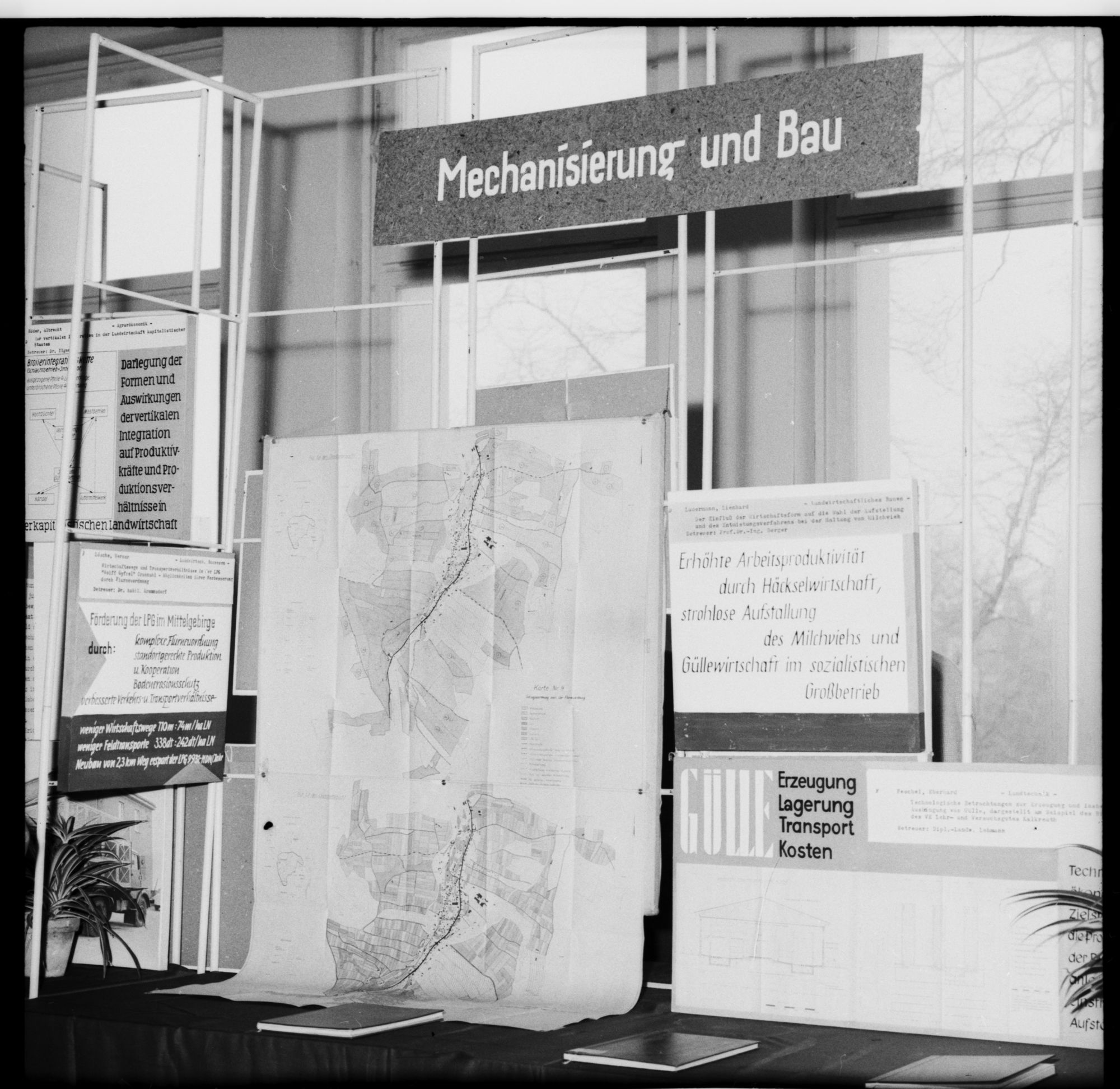 ZFF_1975_N003