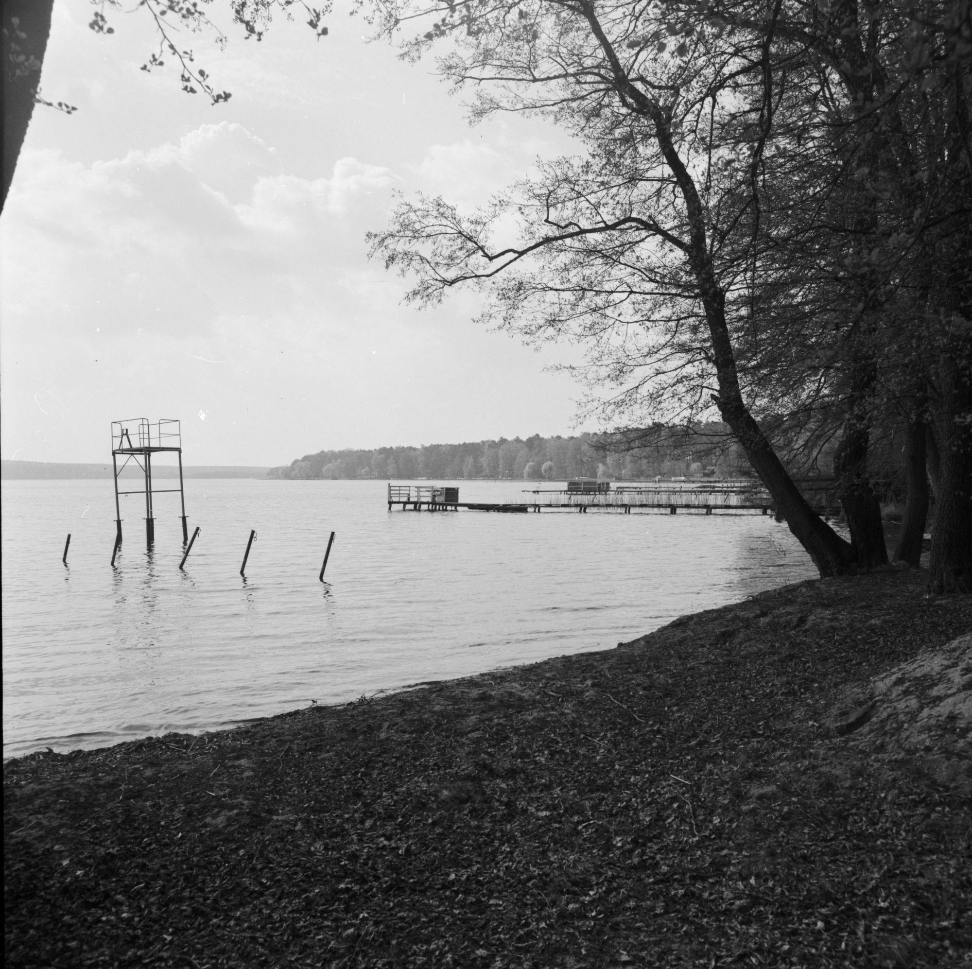 ZFF_3179_01_N011