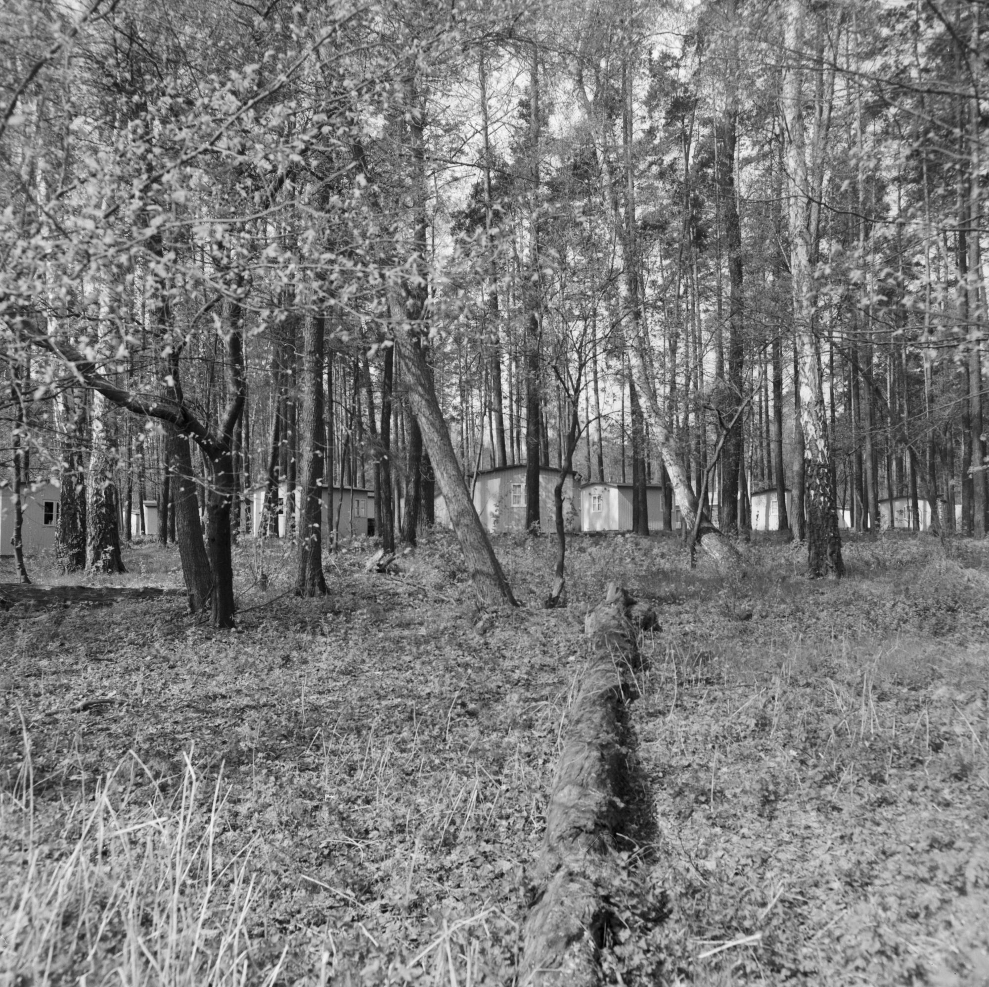 ZFF_3179_01_N012