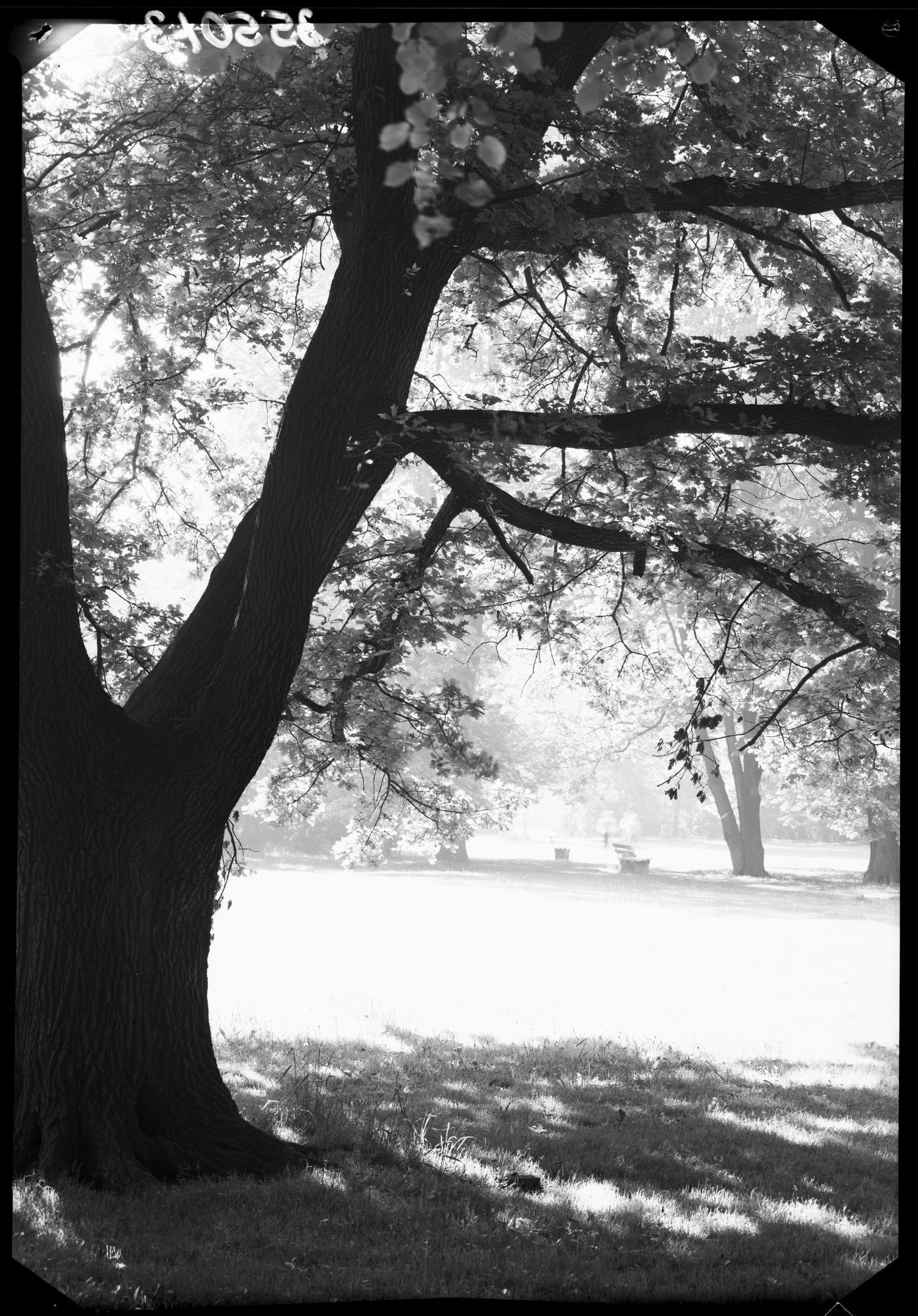 ZFF_3550_N003