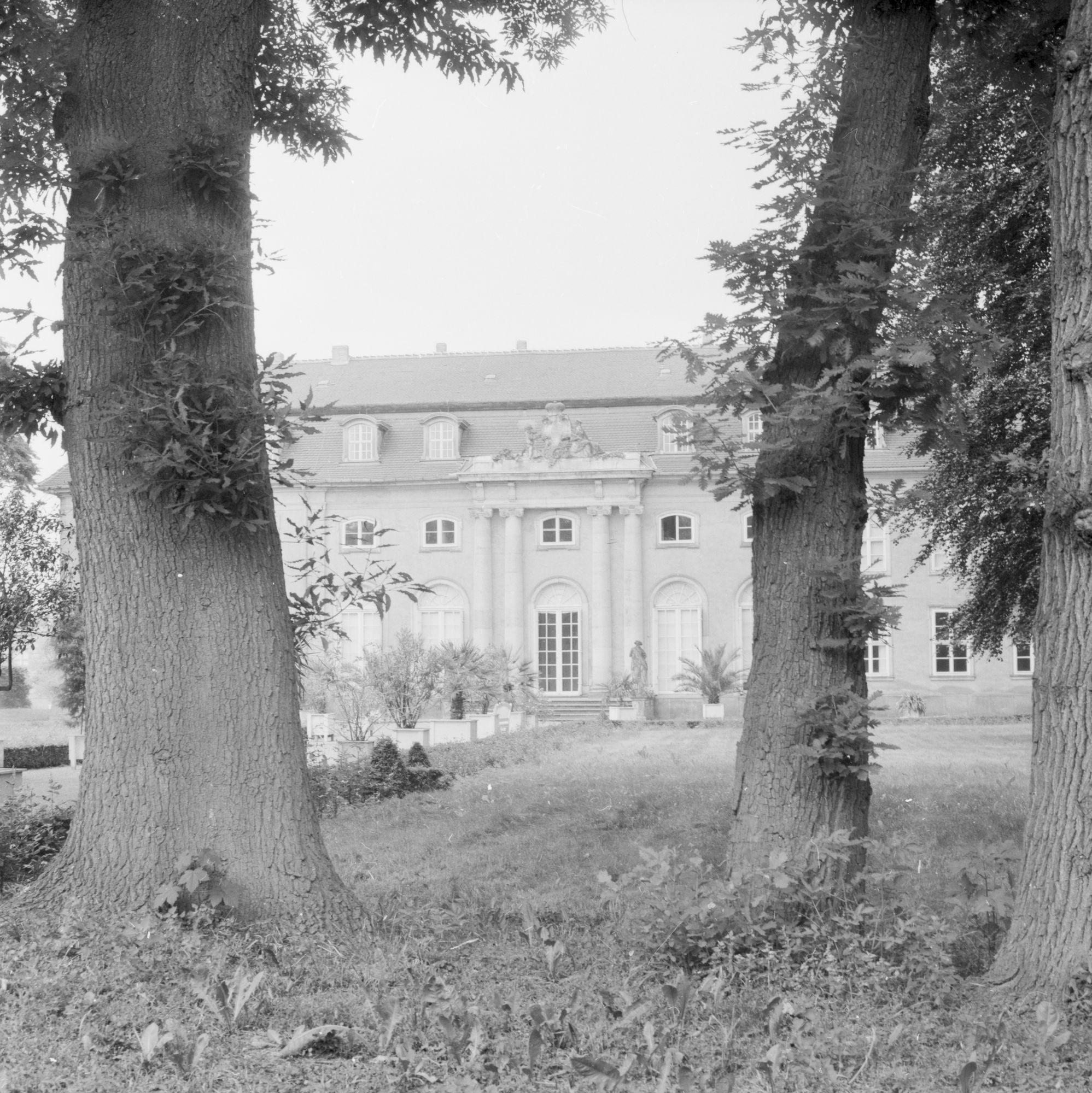 ZFF_4037_01_N001