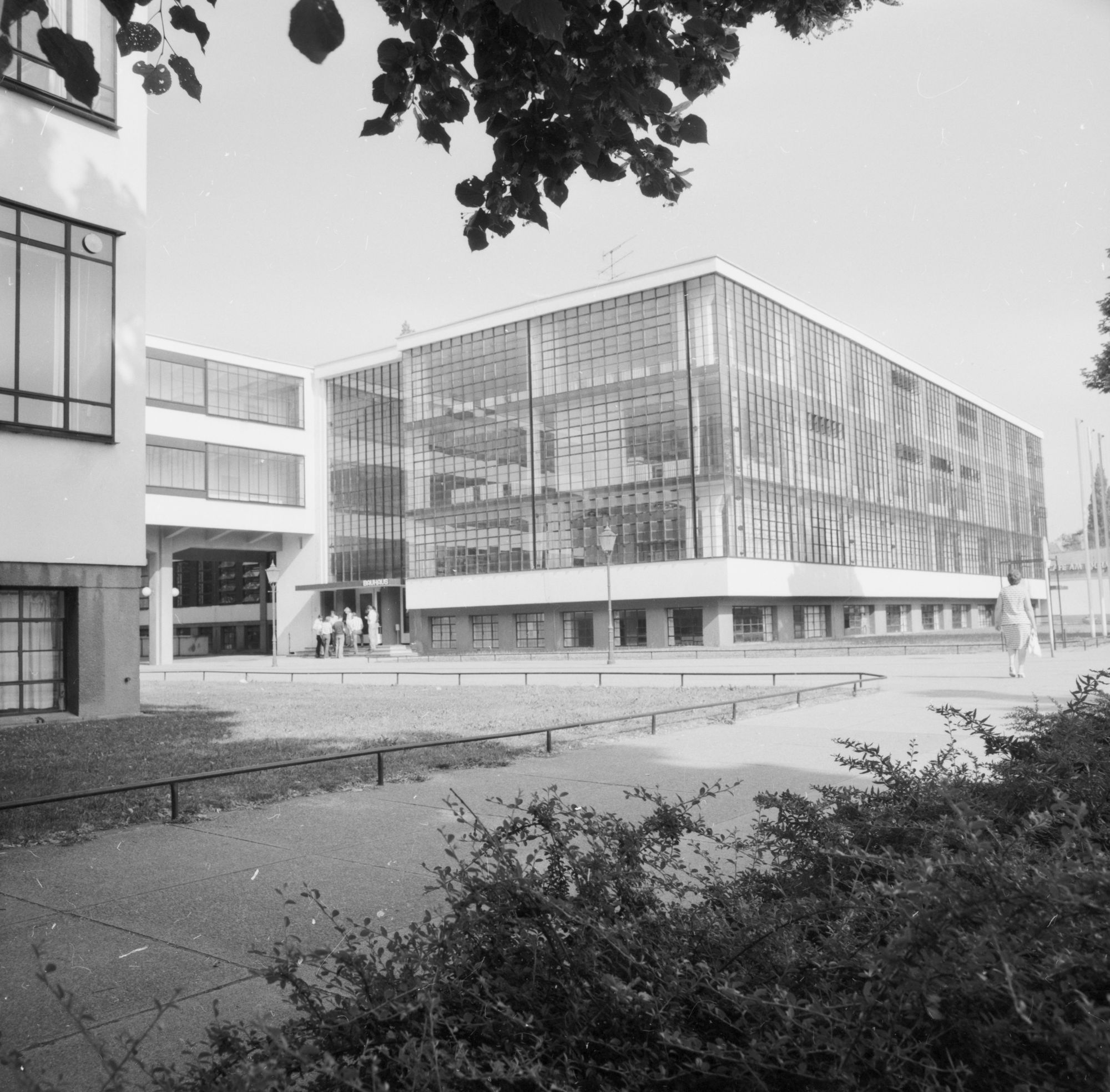 ZFF_4037_02_N005