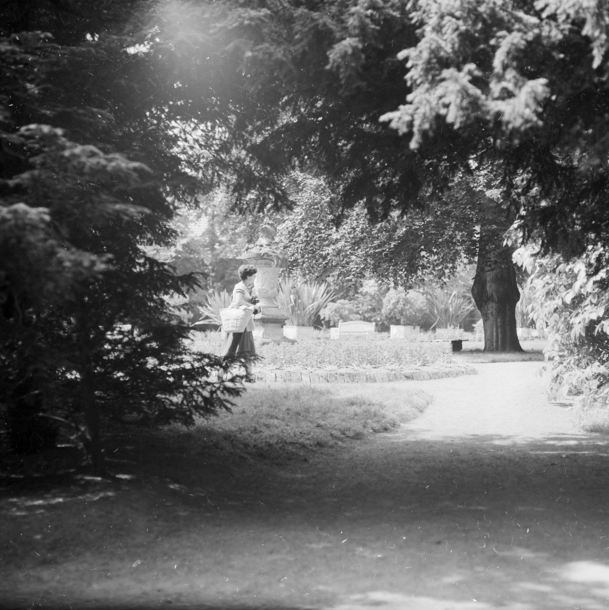 ZFF_4037_02_N010