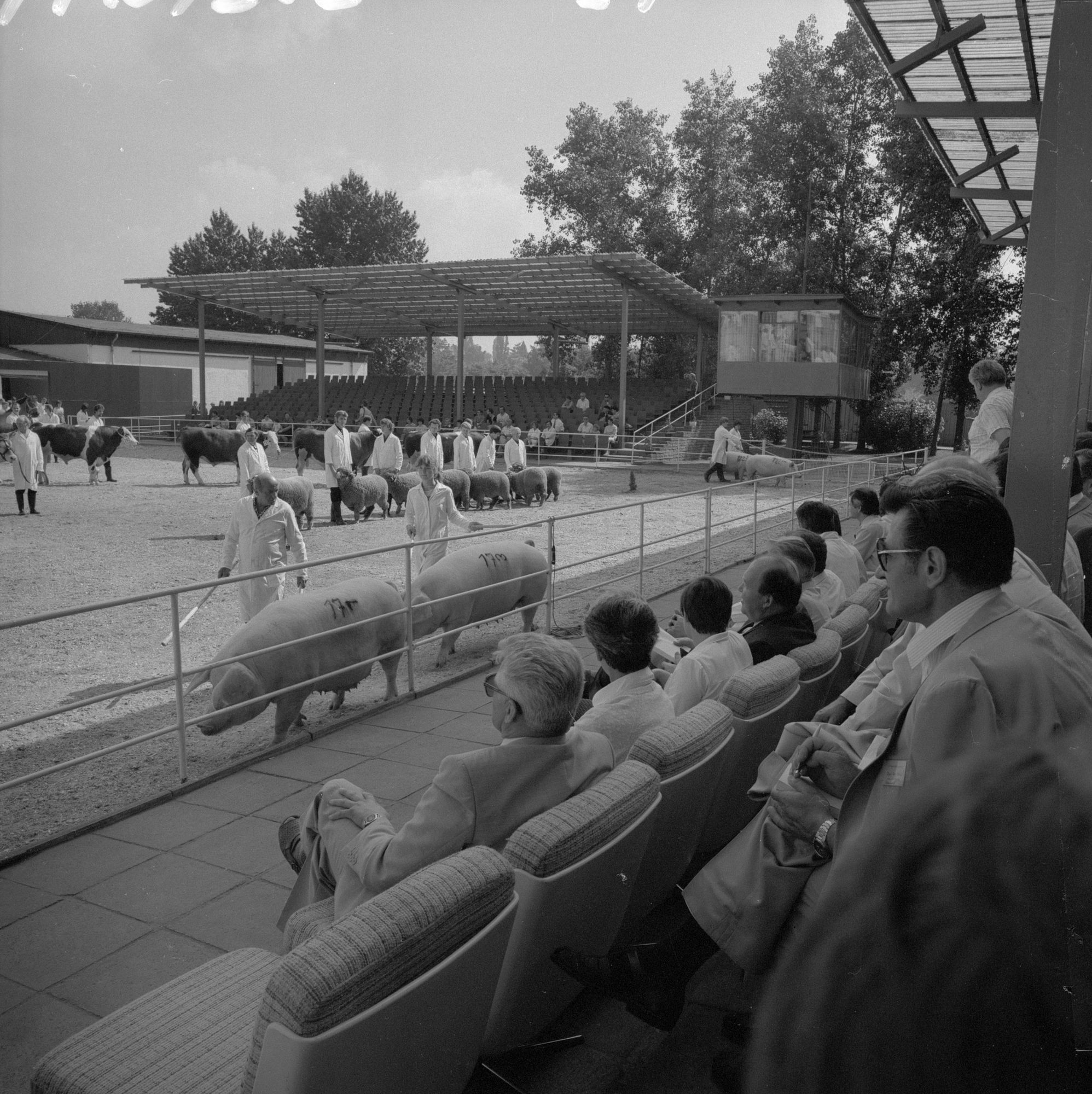 ZFF_4770_02_02_N010