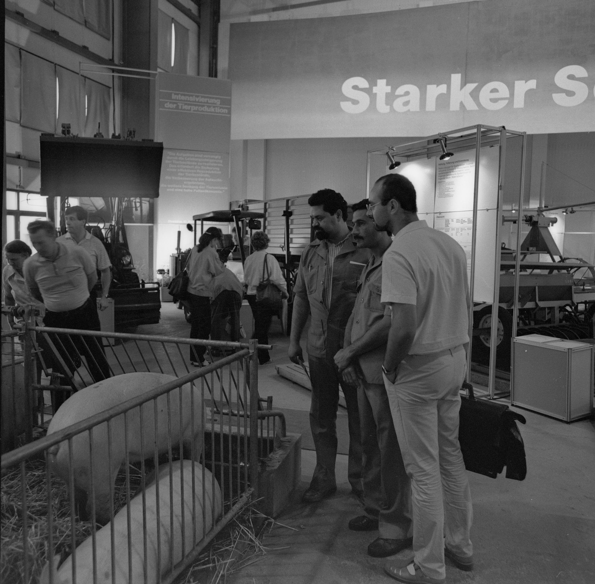 ZFF_4777_04_N001