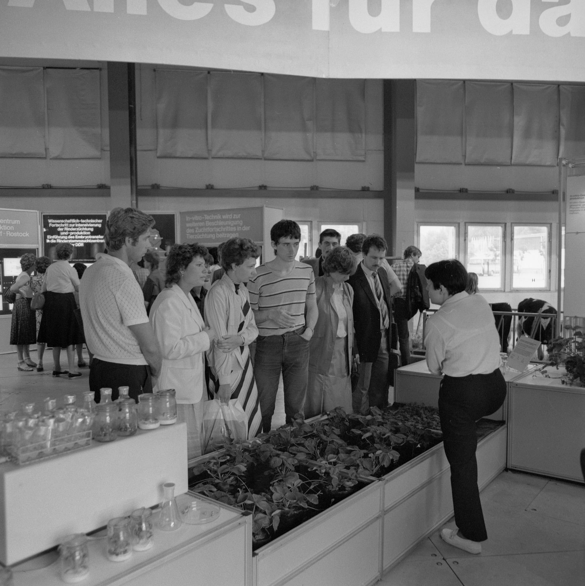 ZFF_4777_04_N004