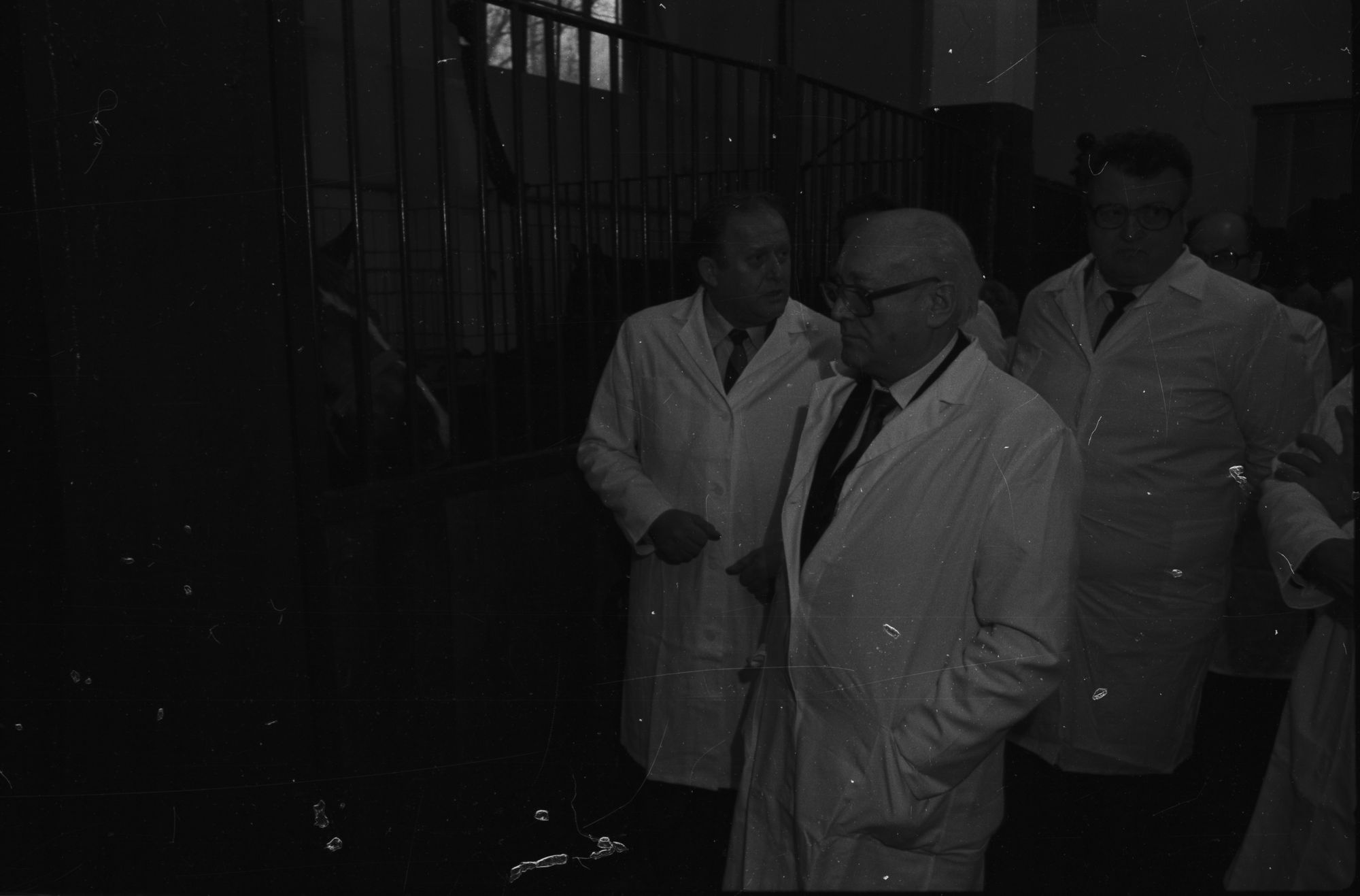 ZFF_5229_02_N004