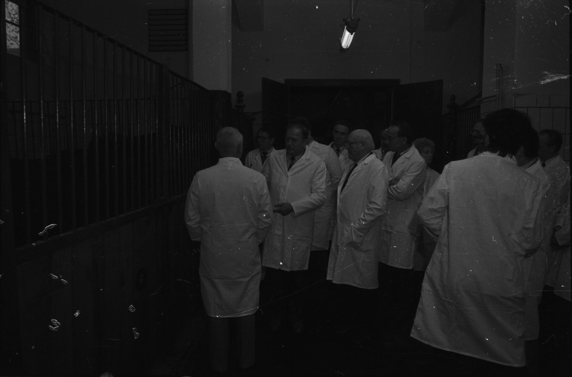 ZFF_5229_02_N006